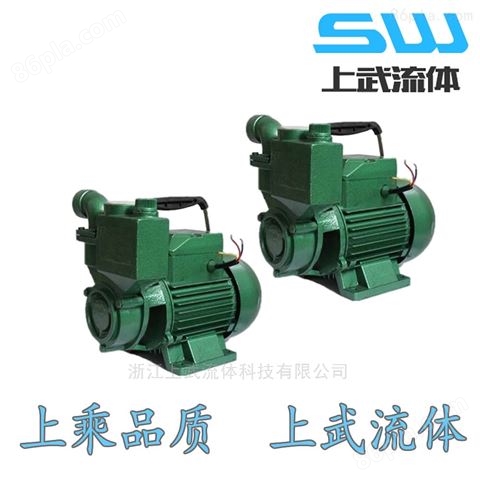 25DBZ-35型自吸泵 供水增压离心泵